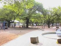 国立市役所公園